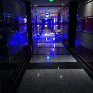 上海泰国餐厅招聘网站全览，餐饮行业求职优选