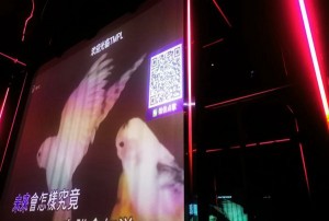 上海哪些酒吧招聘包厢服务员,一天上几个小时班
