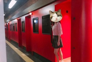 上海普陀区长征镇附近ktv招聘商务礼仪,领队直招没套路的