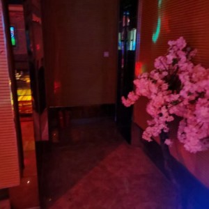 上海徐汇区附近夜总会招聘现场DJ,(不用交台费)