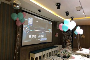 上海奉贤区海湾镇附近ktv招聘现场DJ,(好上班的不挑人)