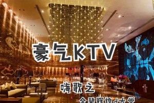 上海浦东新区曹路镇附近夜总会招聘酒水促销员,上班有什么要求