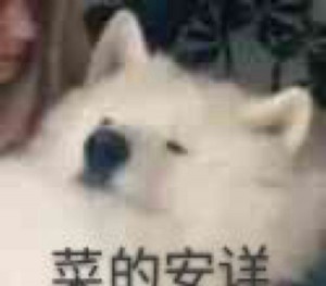 营销阶段文案老师招聘（营销文案创作导师招募）